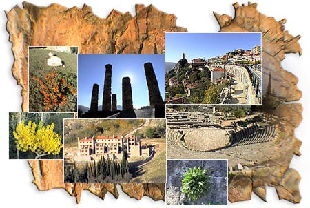 Travel to Arachova -  The Delphi and Arachova, Greece complete guide with information on 