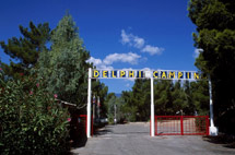 DELPHI CAMPING  CAMPING IN  ARACHOVA - DELPHI