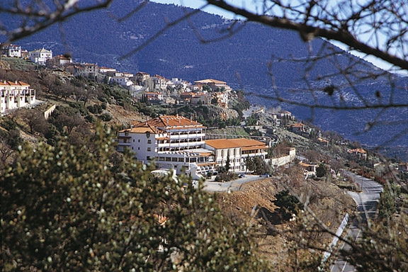 ANEMOLIA HOTEL  HOTELS IN  Arachova